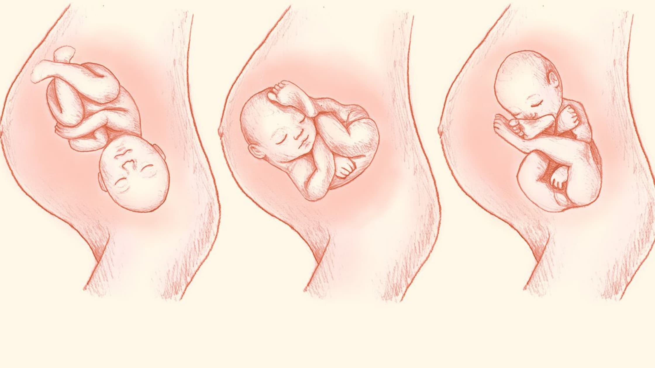 Como reagir a essa pandemia de forma inteligente e segura